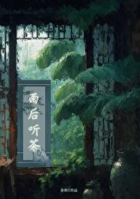 雨后听茶TXT资源