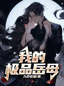 电视剧 我的极品老妈