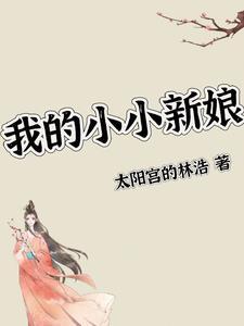 我的小小新娘插曲