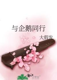 企鹅相似的动物